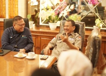 Listrik untuk Rakyat, Ketua DPRD Kalsel Apresiasi Layanan PLN Kalselteng