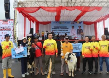 Kontes Kambing Piala Kapolres Tanah Bumbu: Ajang Seru Peringatan Hari Bhayangkara Ke-79
