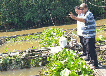 M Zaini Tinjau Keramba Ikan yang Alami Kematian Massal, Dorong Edukasi dan Solusi Jangka Panjang untuk Petani Ikan Banjar