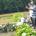 M Zaini Tinjau Keramba Ikan yang Alami Kematian Massal, Dorong Edukasi dan Solusi Jangka Panjang untuk Petani Ikan Banjar