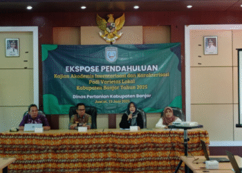 Menjaga Warisan Pangan Lokal: Distan Banjar Kaji Varietas Padi Asli Daerah untuk Ketahanan Pangan Berkelanjutan
