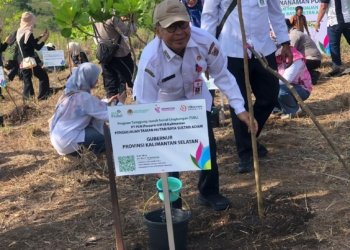 Hijaukan Banua, 2.200 Pohon Ditanam di Tahura Sultan Adam: Gubernur Kalsel Apresiasi Langkah Nyata PLN