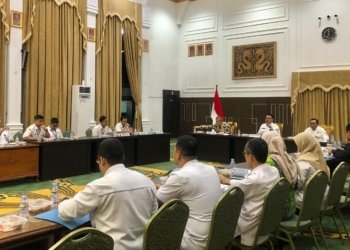 Gubernur Kalsel Akan Lantik Lisa-Wartono 21 Juni 2025