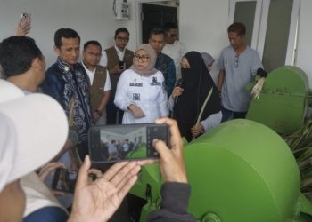 PLN Dukung UMKM Eco Pine Borneo, Serat Nanas Banjarbaru Tembus Pasar Internasional