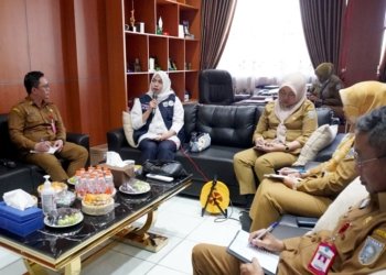 TP Posyandu Kabupaten Banjar Perkuat Pelayanan Dasar, Gandeng Lintas Sektor dan Swasta