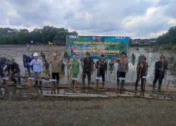 Peringati HUT Ke-67 Kodam VI/Mulawarman, Kodim 1022 Tanah Bumbu Tanam Mangrove di Kawasan Pesisir