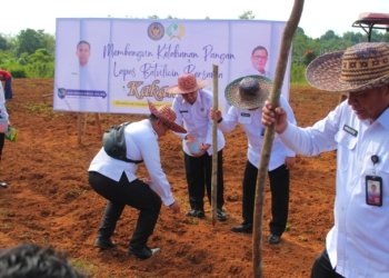 Dukung Ketahanan Pangan, Lapas Batulicin Tanam Sayur Bersama Kakanwil Ditjenpas Kalsel