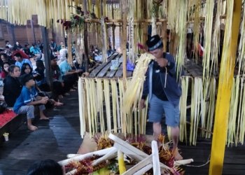 Semalam Suntuk Pesta Adat, Ribuan Warga Tumpah Ruah di Aruh Ganal Mehanyari Banih Gunung Raya
