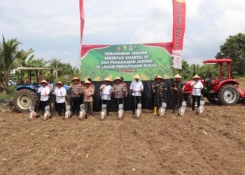Polres Banjar Tanam Jagung Serentak di Desa Bincau, Dorong Ketahanan Pangan Nasional