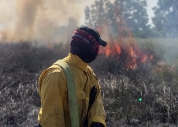 Hadapi Puncak Musim Kemarau 2025, Pemprov Kalsel Siap Tangani Karhutla Dengan Maksimal