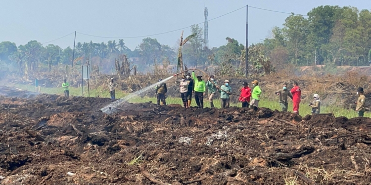 Dishut Kalsel: Pentingnya Kerjasama Pemerintah dan Masyarakat Deteksi Dini Titik Api Karhutla