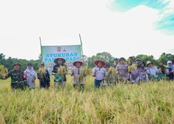 Hadir di Tengah Petani, Anggota DPRD Banjarbaru Tekankan Komitmen Perjuangkan Ketahanan Pangan