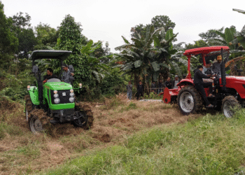 Dinas Pertanian Kabupaten Banjar Latih Operator Brigade Pangan Demi Wujudkan Kedaulatan Pangan Daerah