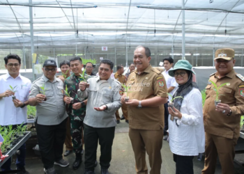 Dorong Ketahanan Pangan, Bupati Asahan Dampingi Plt Dirjen Perkebunan Kementan RI Tinjau Cetak Sawah di Silo Bonto