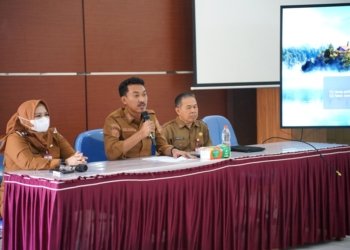 Bupati Banjar Ikuti Sosialisasi PPPK Paruh Waktu, Siap Wujudkan ASN BerAKHLAK