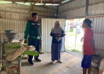 Jaga Stabilitas Harga dan Lindungi Petani, DKUMPP Banjar Lakukan Pemantauan Bahan Pokok dan Subsidi Pertanian