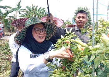 Farm Field Day, Poktan Kurnia Makmur Minta Perbaikan Irigasi