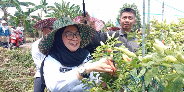 Farm Field Day, Poktan Kurnia Makmur Minta Perbaikan Irigasi