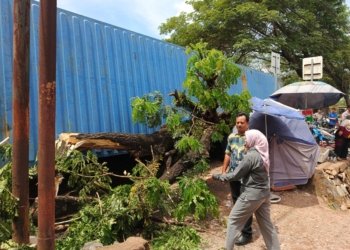 Kontainer Jatuh Timpa 9 Pelajar di SDN 1 Landasan Ulin Selatan