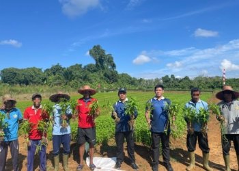 Tingkatkan Keterampilan Warga Binaan, Lapas Batulicin Memanen Kangkung