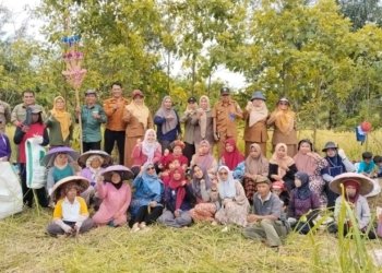 Panen Raya Spektakuler: Petani Wanita Tigaron Buktikan Potensi Pertanian di Kabupaten Banjar