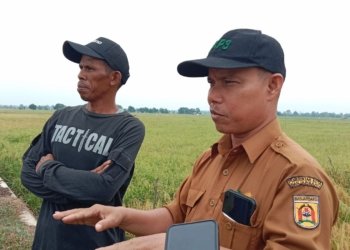 Curah Hujan Tinggi, Petani Banjarbaru Hadapi Serangan Hama Hingga Jalan Tergenang
