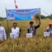Atasi Sawah Tergenang dan Diserang Hama Tikus, Pemprov Kalsel Siapkan Program Oplah