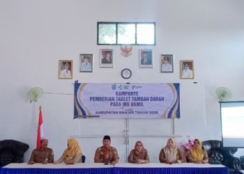 Dinkes Kabupaten Banjar Gelar Kampanye Tablet Tambah Darah untuk Ibu Hamil, Cegah Anemia dan Tekan Stunting