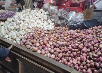 Harga Bawang Merah dan Putih di Kotabaru Masih Terkendali, Pedagang dan Warga Lega