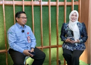 Pemerintahan Digital, Strategi Optimalisasi Pelayanan  Publik