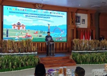 Padi Apung Jadi Senjata Kalimantan Selatan Atasi Inflasi Pangan