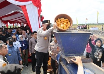 Wujud Nyata Dukung Ketahanan Pangan Nasional, Polda Kalsel Serahkan 30 Ton Jagung ke Bulog