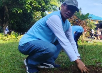 Dukung Ketahanan Pangan Nasional, ULM Hijaukan Ruang Kosong Kampus Dengan Kopi Robusta