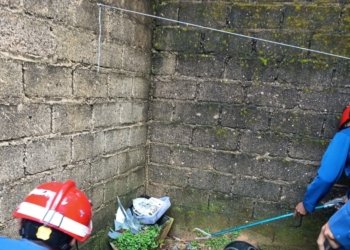 Petugas Damkar Banjar Tangkap Ular Cobra 1 Meter di Indrasari, Warga Beri Apresiasi
