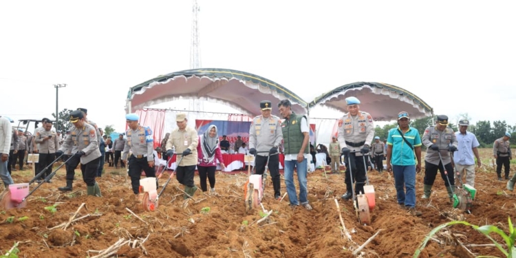 Perkuat Ketahanan Pangan, Polda Kalsel Tanam Jagung Tahap II di Lahan Binaan Bidpropam
