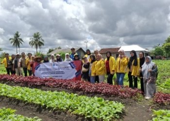 Mahasiswa Sosiologi ULM Belajar Pertanian Ramah Lingkungan di Kampung Sayur Laura