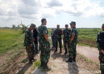 Tim Itjen Kementan RI dan Itjenad Kawal Ketat Program Optimalisasi Lahan Pertanian di Wilayah Kodim 1006/Banjar