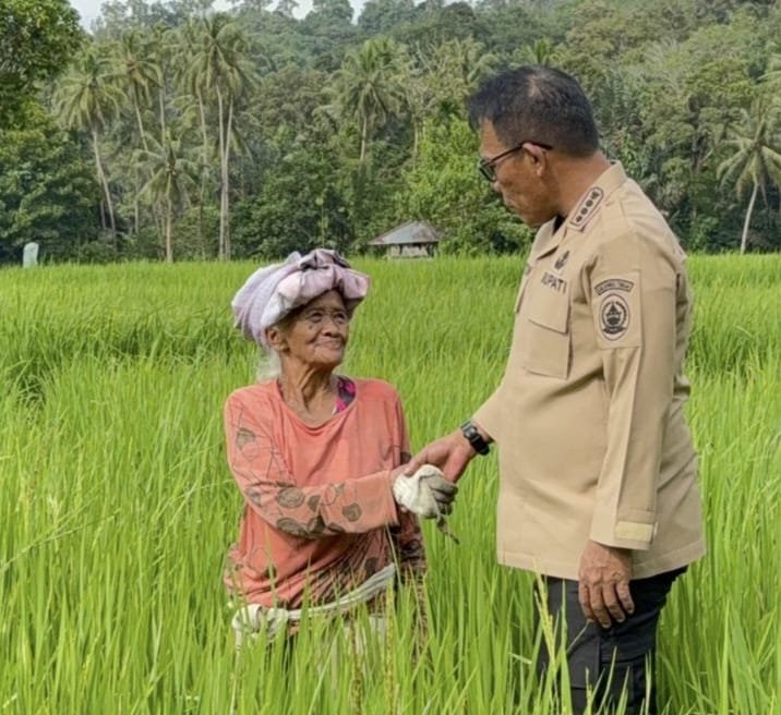 Bupati Masinto Blusukan Tinjau Langsung Lahan Pertanian Warga