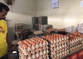Permintaan Meningkat, Harga Telur Ayam di Pasar Bauntung Banjarbaru Capai Rp33 Ribu Per Kilogram