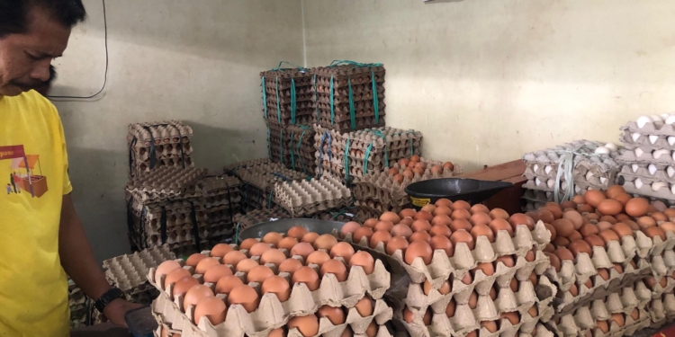 Permintaan Meningkat, Harga Telur Ayam di Pasar Bauntung Banjarbaru Capai Rp33 Ribu Per Kilogram