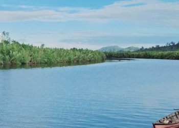 Nama Lurah Lopian Terseret Dugaan Pemalsuan Jual Beli 60.000 M² Tanah