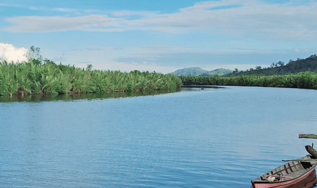 Nama Lurah Lopian Terseret Dugaan Pemalsuan Jual Beli 60.000 M² Tanah