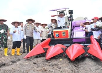 Tanam Jagung Kuartal IV, Polda Kalsel Optimis Panen Dua Kali Lipat dari Sebelumnya