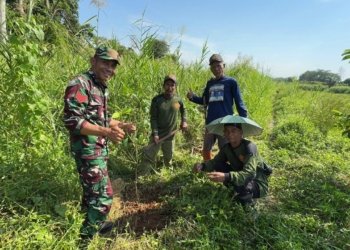 Babinsa Koramil Martapura Memimpin Aksi Nyata Peringatan Hari Iklim: Tanam Pohon dan Edukasi di Desa Antasan Senor