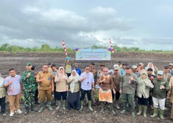 Wujudkan Kemandirian Pangan, Kodim 1006/Banjar Ikut Tanam Padi di Lahan Cetak Sawah Beruntung Baru