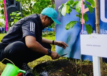 Hijaukan Banjarbaru, InJourney Airports Tanam 1 Juta Pohon