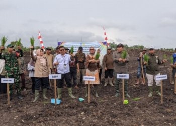 Dorong Swasembada Pangan, Distan Banjar Gelar Tanam Padi Perdana di Lahan Cetak Sawah Rakyat