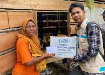Tingkatkan Perekonomian Masyarakat, YBM PLN Berikan Bantuan Usaha untuk Kelompok Peternakan Ayam
