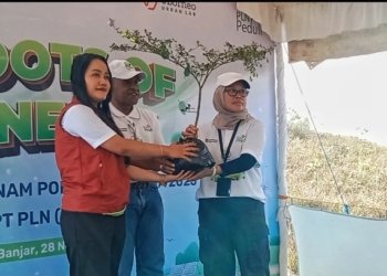 PLN UID Kalselteng Tanam 300 Pohon di Tahura, Sediakan 2.200 Bibit untuk Pemulihan Lahan