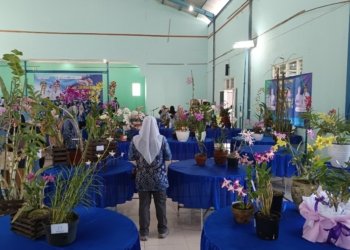 Dinas Ketahan Pangan dan Pertanian – Dinas Pertanian Kabupaten Banjar Gelar Lomba Cupang dan Lomba Tanaman Hias